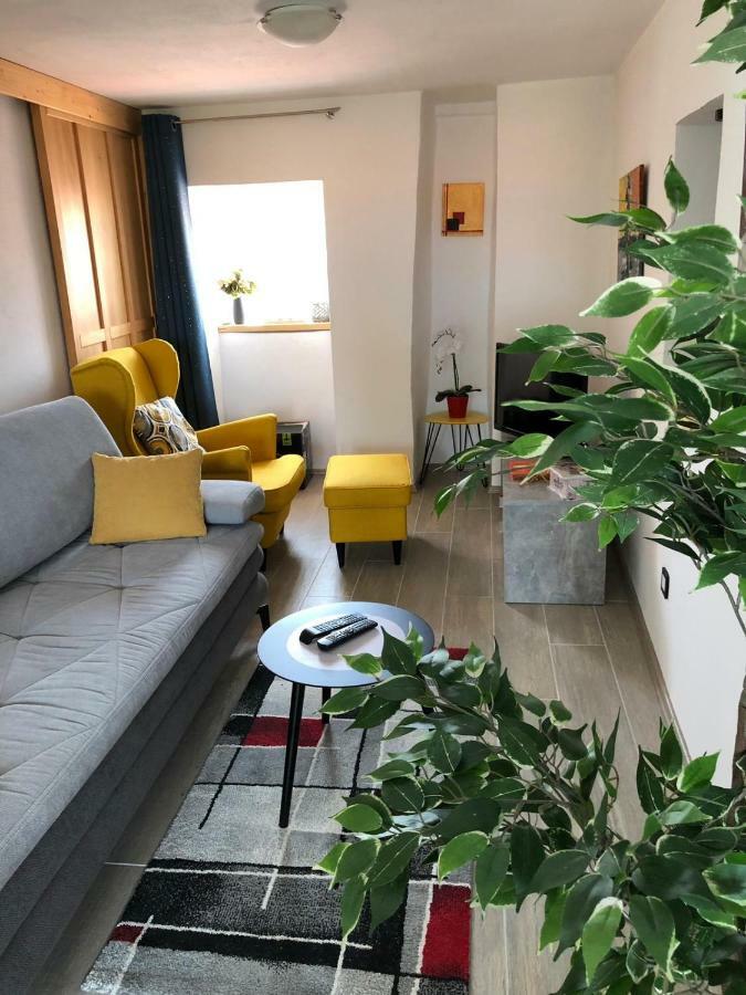 ריסיקה Studio Apartman Braco מראה חיצוני תמונה