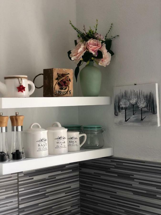 ריסיקה Studio Apartman Braco מראה חיצוני תמונה