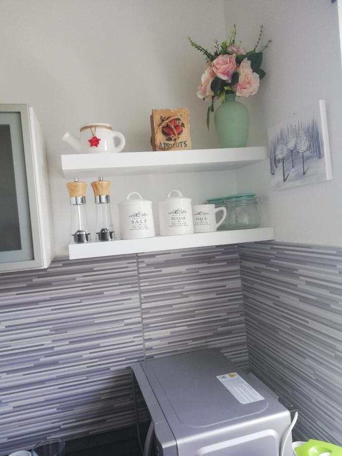 ריסיקה Studio Apartman Braco מראה חיצוני תמונה